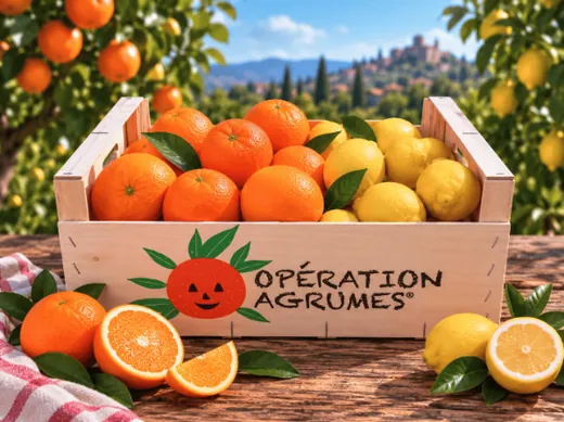 Caisse mixte oranges et citrons